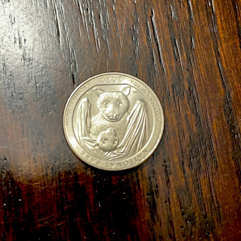 2020 Bat quarter